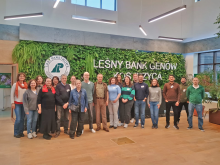 Biotechnologia w służbie lasom i ich przyszłości!