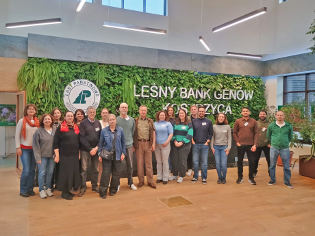 Biotechnologia w służbie lasom i ich przyszłości!